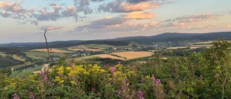 A panoramic view of a rural landscape with rolling hills, a small village, and a variety of wildflowers in the foreground.