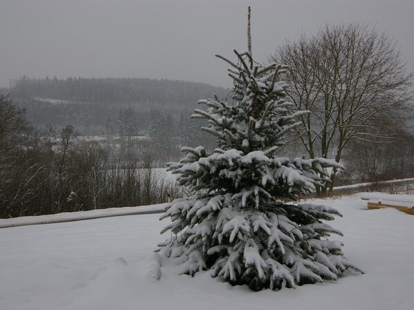 Chalet | Garden - Luxurious Chalet in Medebach Sauerland With Private Garden (Medebach)
