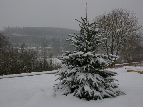 Luxurious Chalet in Medebach Sauerland With Private Garden