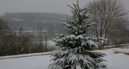 Luxurious Chalet in Medebach Sauerland With Private Garden