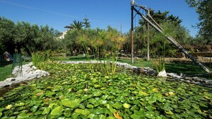 獨棟房屋 | 花園