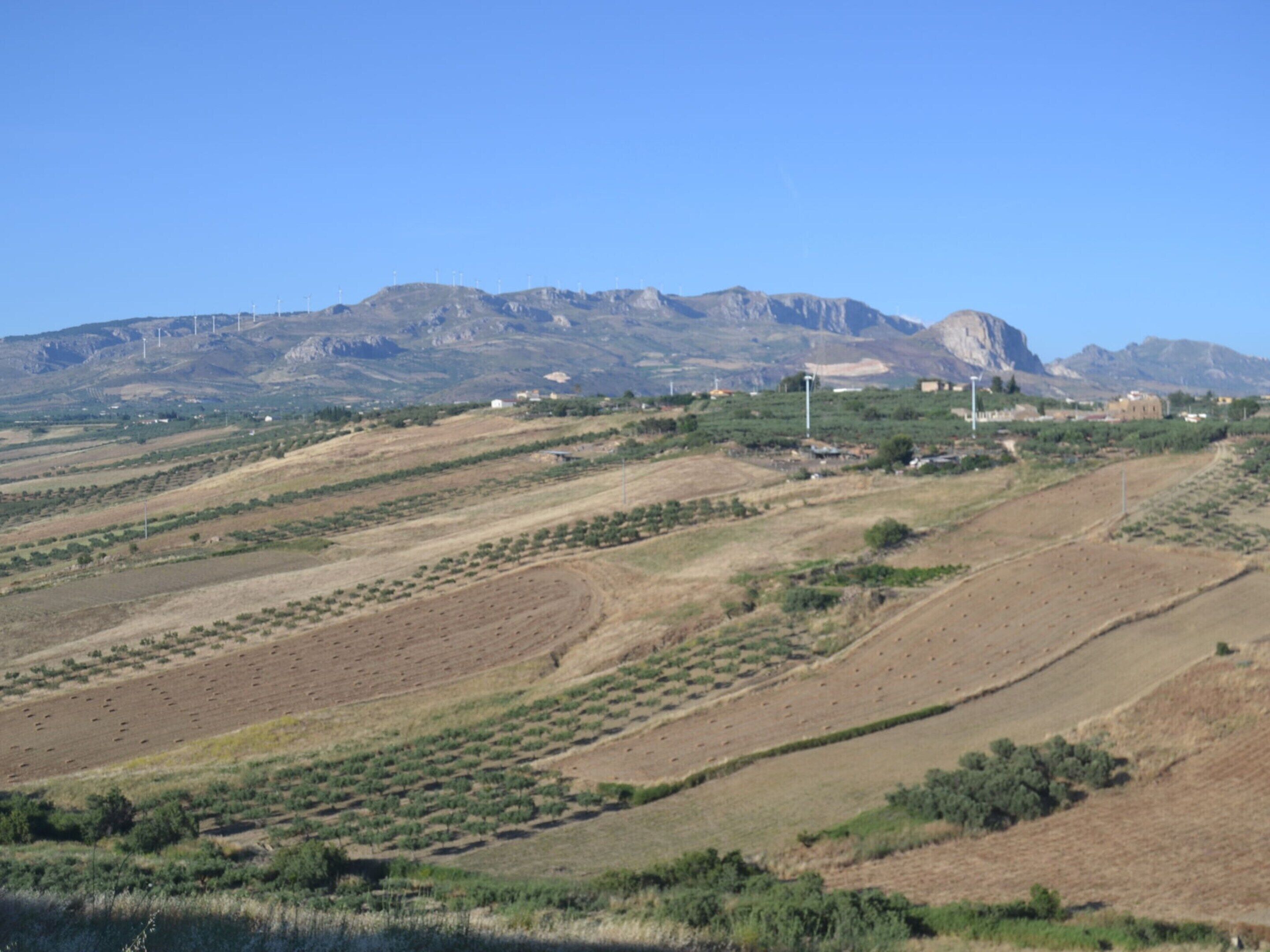 A hilly landscape with terraced fields and wind turbines in the background.