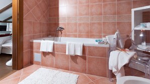 Villa | Bathroom | Combined shower/bathtub, towels - Beautiful, Attractive Villa With Private Pool, Covered Terrace Near Porec (Porec)