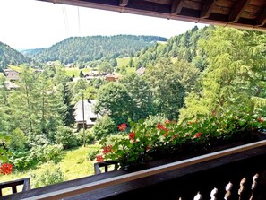 View from property - Ferienwohnung mit Talblick in Todtmoos (Todtmoos)