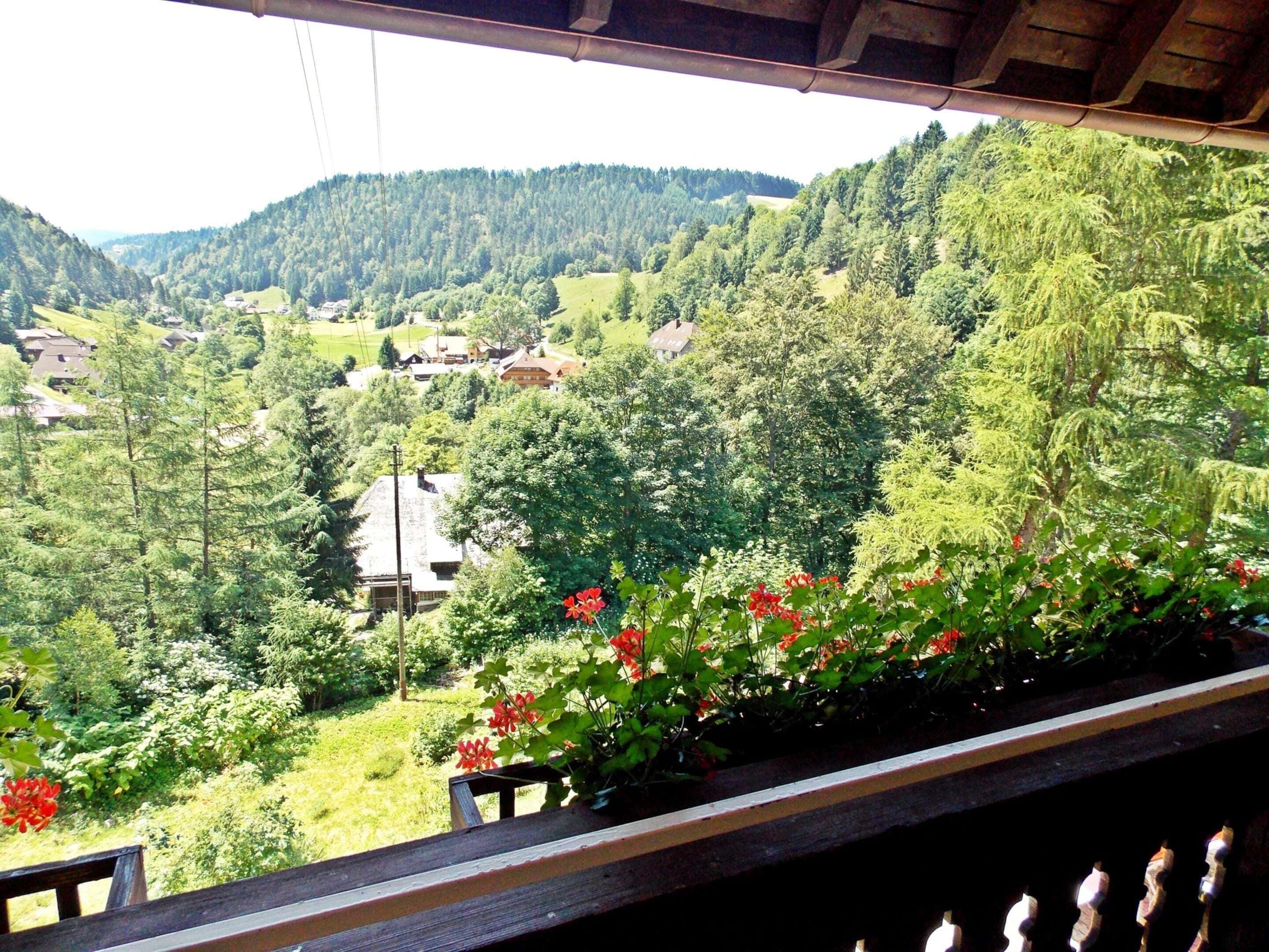 House | View from property