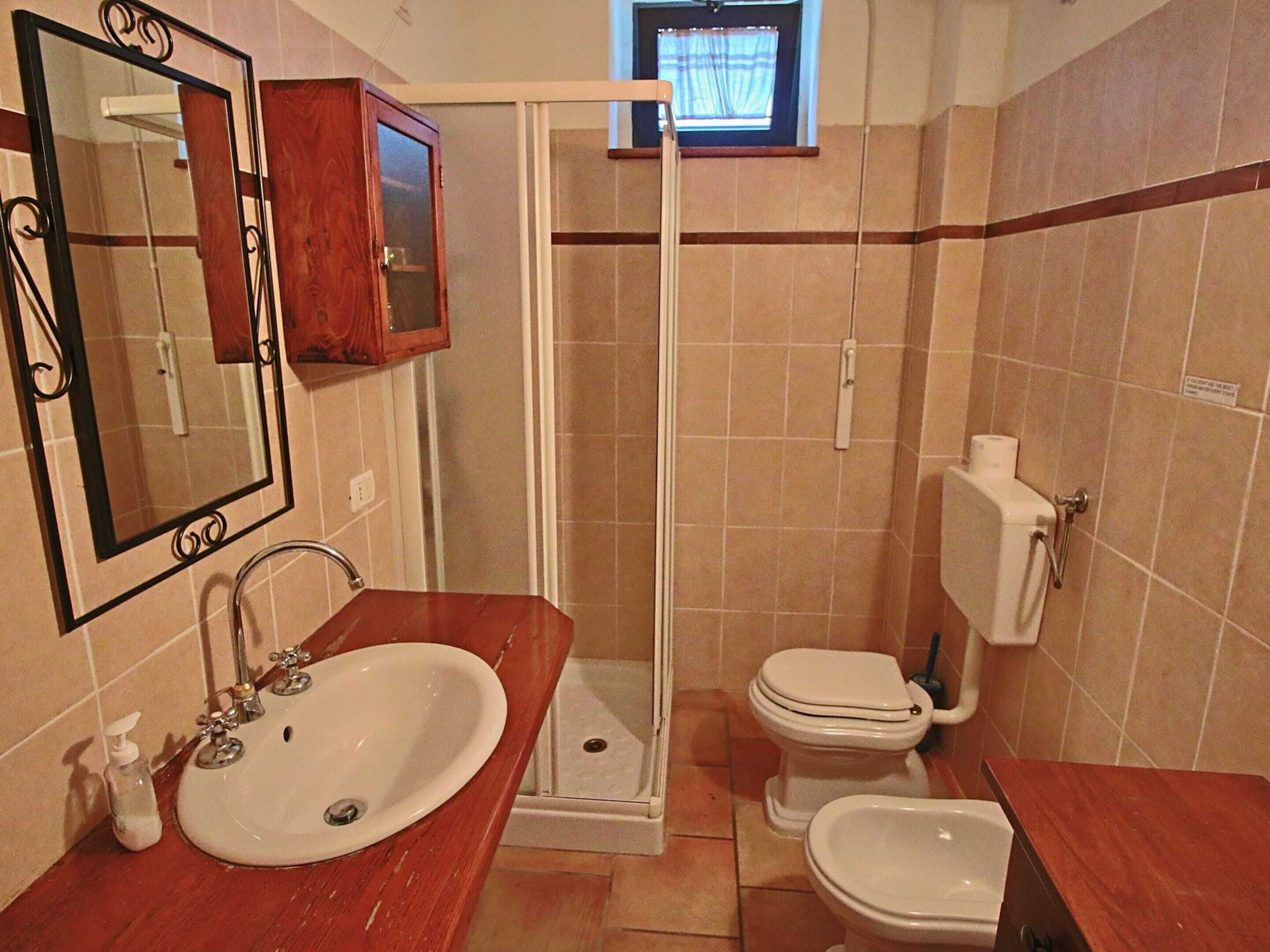 A bathroom with a sink, mirror, toilet, and shower.
