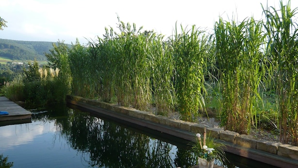 Un entorno tranquilo a orillas del río, con una terraza de madera, una mesa pequeña con una bandeja de flores y una vela, además de una planta en maceta.
