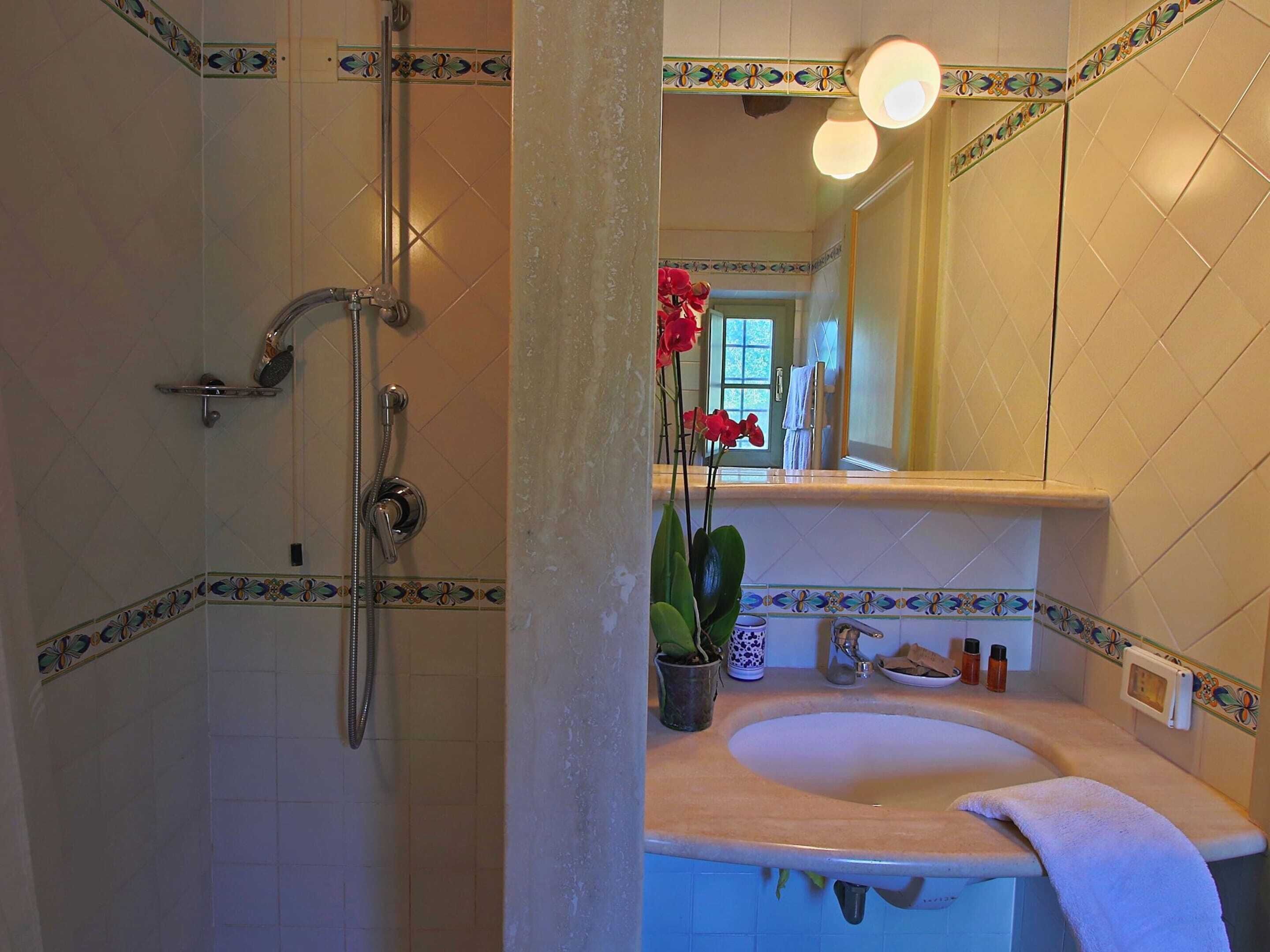A bathroom with a shower, sink, and mirror.