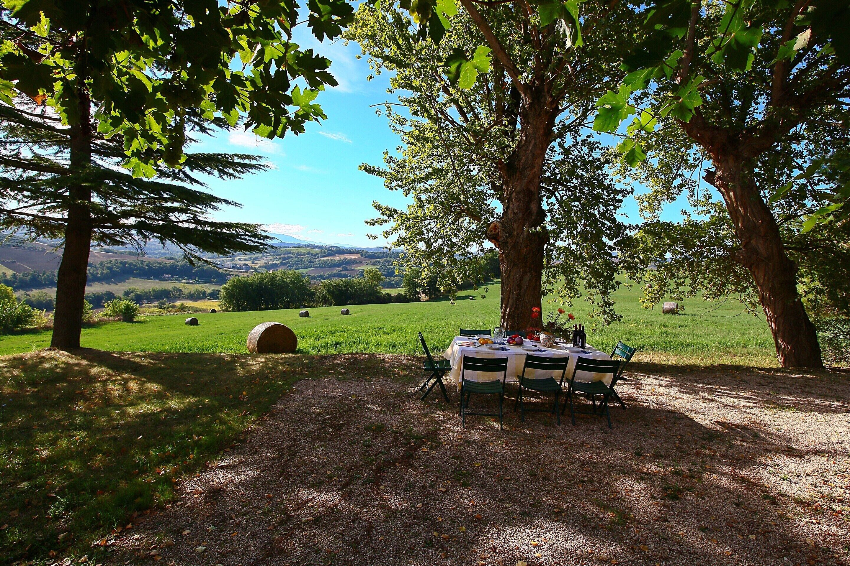 A table set up under trees with a view of a green field and distant hills.