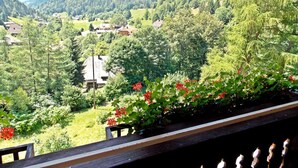 Blick von einem Balkon über ein bewaldetes Tal mit Häusern und einem Berg im Hintergrund.