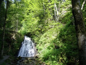 House | View from property - Ferienwohnung mit Talblick in Todtmoos (Todtmoos)