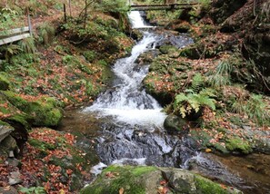 單棟房屋 | 住宿景觀