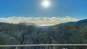 Vista dalla struttura