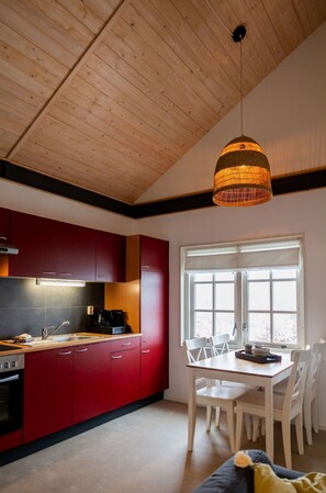 Microwave, oven - Wonderful private villa for 4 guests with A/C, WIFI, TV, terrace and pets allowed (Drachten)