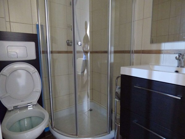 Une salle de bain avec une douche à parois de verre, des toilettes et un lavabo avec un miroir au-dessus.