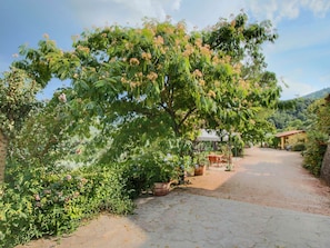 Cottage | Exterior - Cottage in Bettona With Pool & Near Assisi (Bettona)