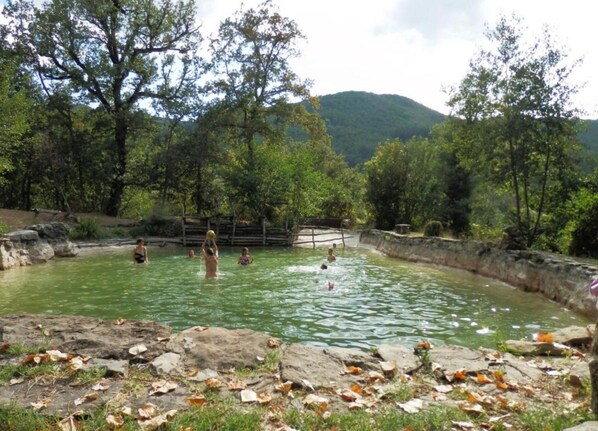 Ferienhaus | Pool | Außenpool