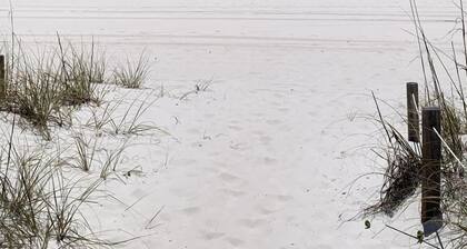 Beach Condo & Pool Relaxing Getaway! Short Stride to Beach, Pet Friendly. Unit 5