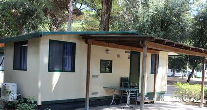 Pretty Mobile Home in Lido di Spina With Gym, Pool, Garden