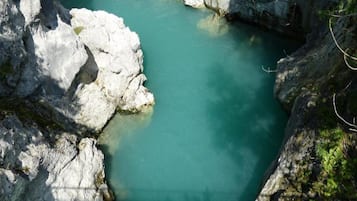 House | View from property