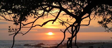 Sun loungers, beach towels