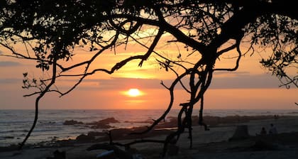 Casa Pacifico 2-bedroom Apartment #2 Monkey