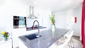 Oven, stovetop, dishwasher, cookware/dishes/utensils - Private City Centre Apartment Located at Famous Handelskade (Willemstad)