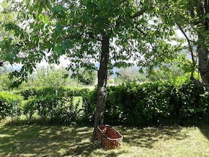 Ferienhaus | Garten