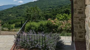 House | View from property