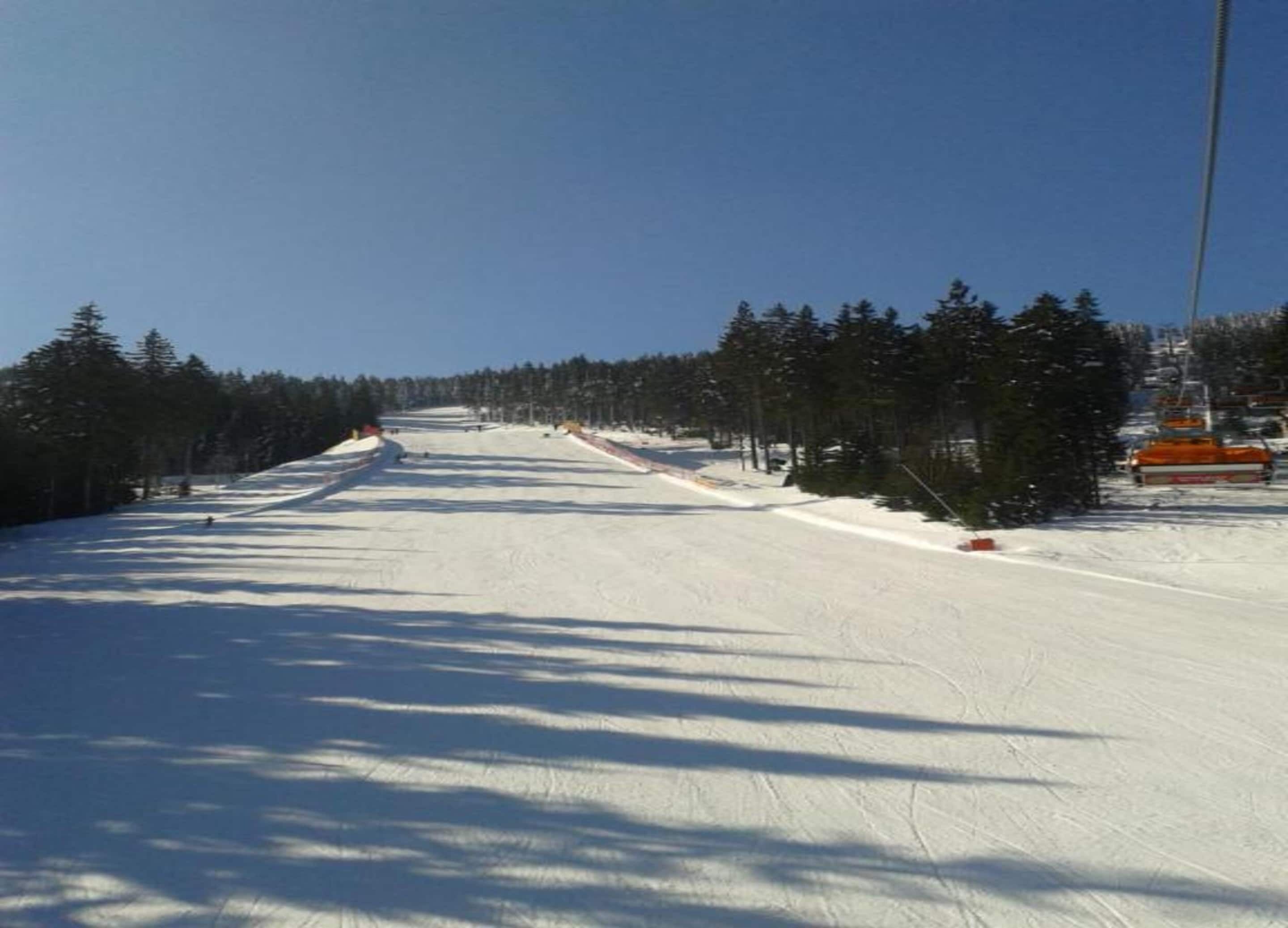 A snow-covered ski slope with trees on both sides and a clear sky.
