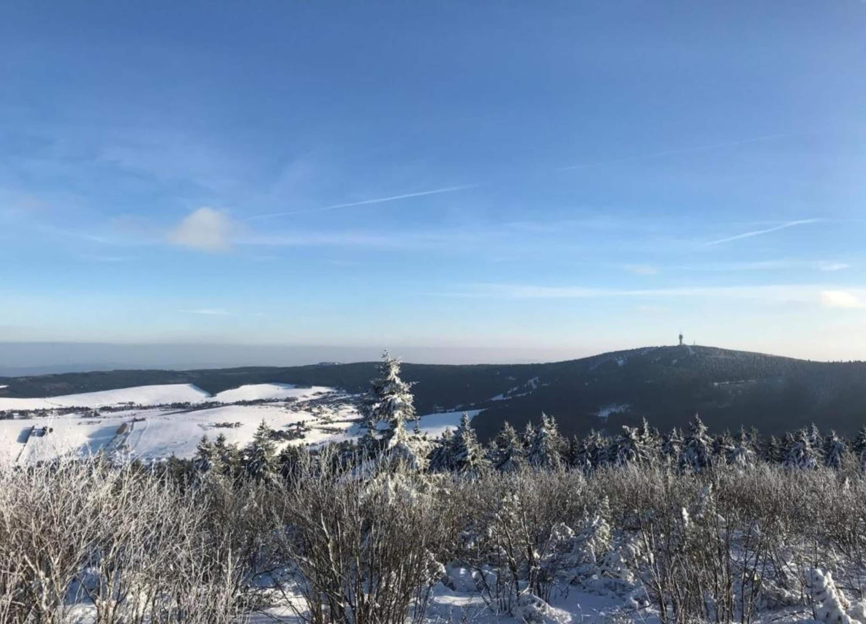 A snowy landscape with a clear sky, a snow-covered hill, and a tree in the foreground.