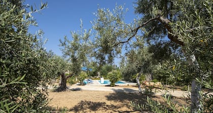 Villa in Crete Near Beach and Olive Groves