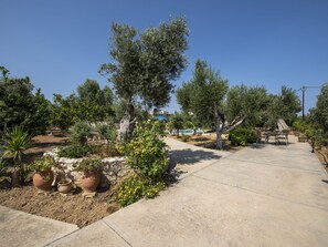 Exterior - Villa in Crete Near Beach and Olive Groves (Rethymno)