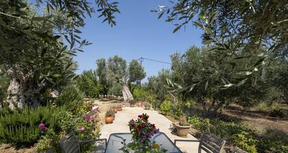 Snug Holiday Home in Pagkalohori