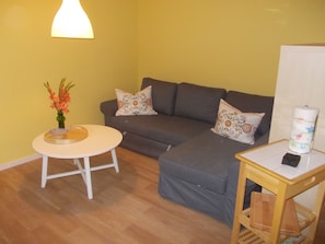 Apartment | Living room | DVD player - Snug Apartment With Fenced Garden in Marlow (Marlow)
