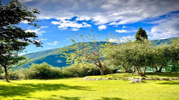 A lush green landscape with trees and a mountain in the background. - Castle in Veneto With Garden & History (Romano d'Ezzelino)