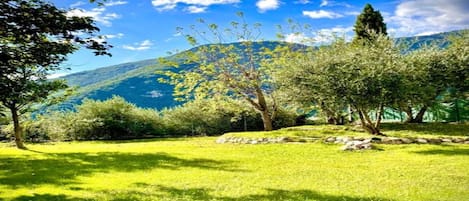 Casa | Vista da propriedade