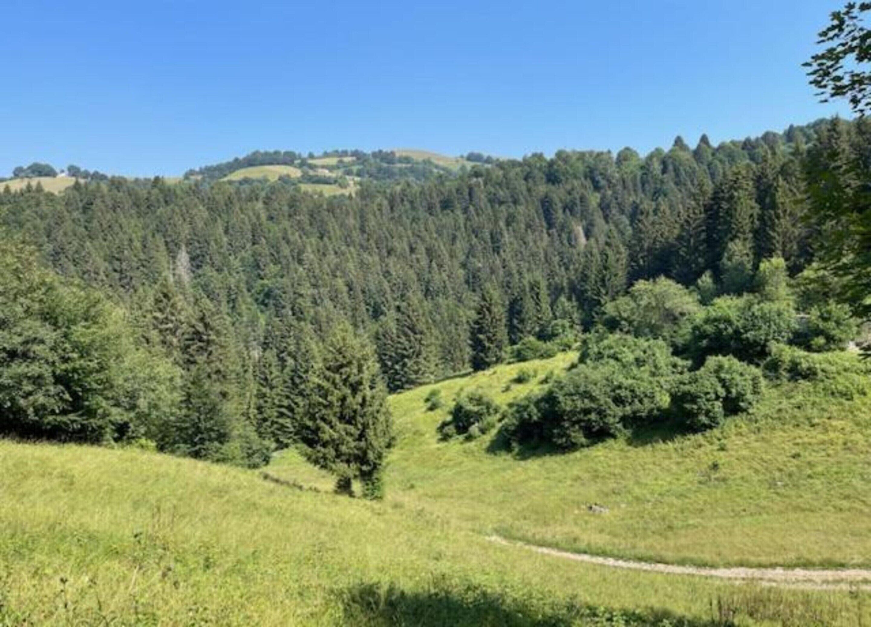 A hilly landscape with dense forests and a clear sky.