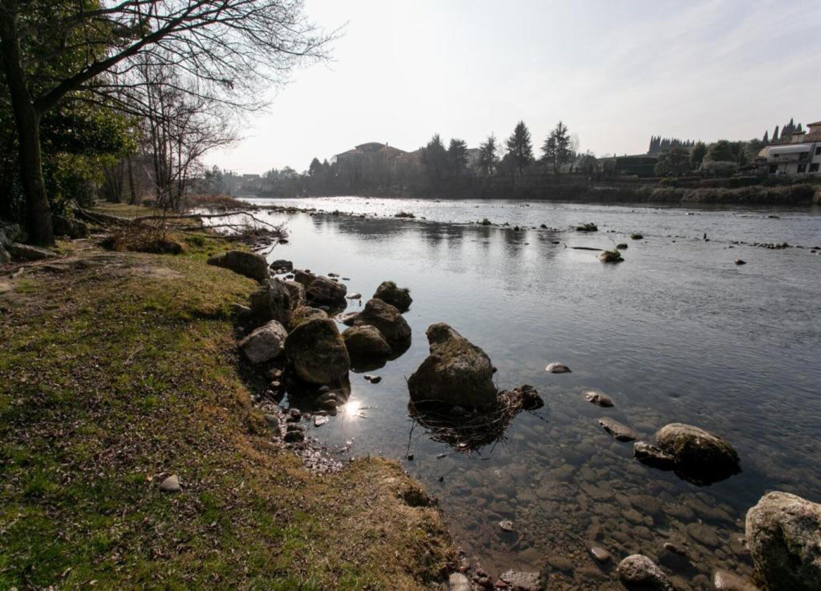 Un río con rocas y una orilla cubierta de césped.