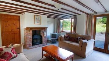 House | Living room | Fireplace, DVD player