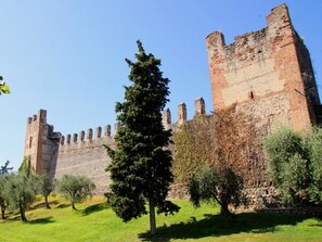 House | View from property