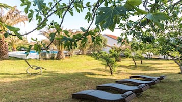 Ngoại thất