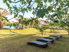 Un espace aménagé au bord de la piscine, avec des chaises longues, un petit arbre et une piscine en arrière-plan.