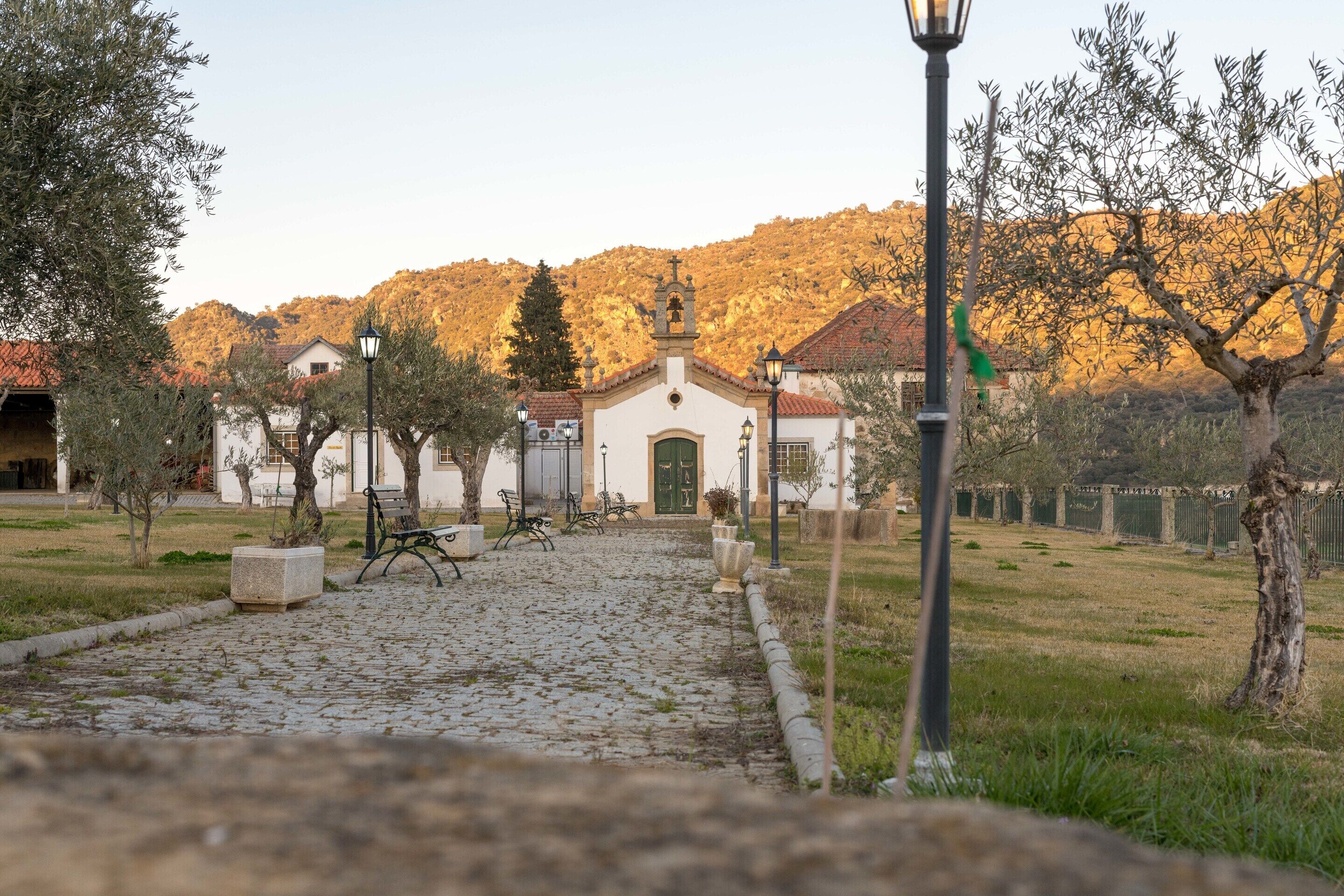 A cobblestone pathway leading to a building with a bell tower, surrounded by olive trees and a mountainous backdrop.