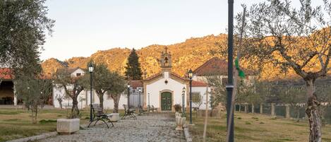 A cobblestone pathway leading to a building with a bell tower, surrounded by olive trees and a mountainous backdrop.