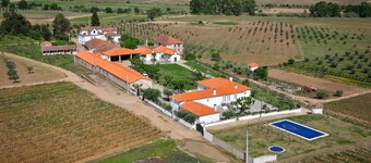 Cozy Cottage in Vila Flor With Swimming Pool