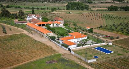 Cozy Cottage in Vila Flor With Swimming Pool