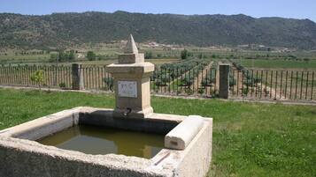 Cottage | View from property