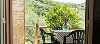 Snug Holiday Home in Castagneto Carducci near Thermal Bath