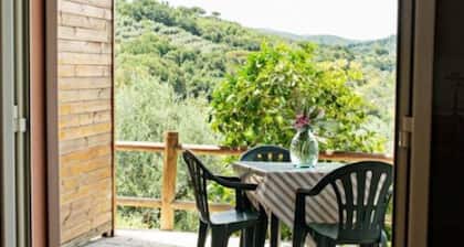 Snug Holiday Home in Castagneto Carducci near Thermal Bath